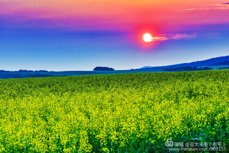 每天早上欣赏草原东方冉冉升起的一轮红日,晚上与西下的夕阳告别.