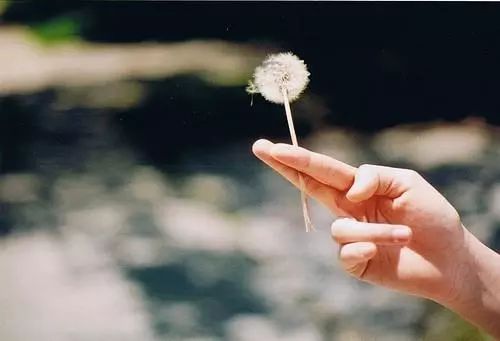 怎样才能不失去一个人 54262e4c3e1a4255883c818be5470941.jpeg