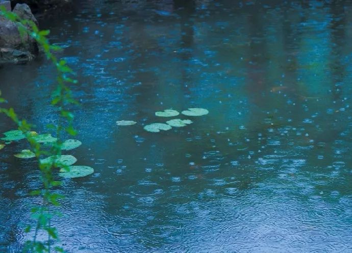 雨中美景,来自现实中的动人意境