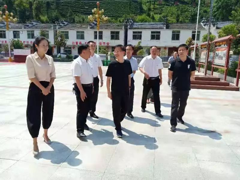 县委常委,组织部长王珣等陪同