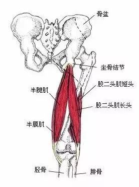 腘猜一成语_一图一成语猜答案大全(2)