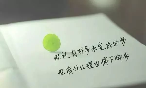 5e8e1025e42d46478f3834547c3649a3.jpeg