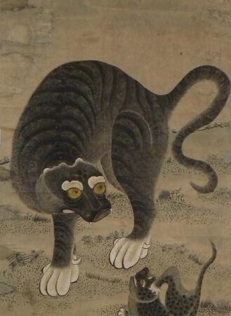最大的狮子和最大的老虎体型对比 61d35dc8dfb34f06bf0d0b6539f6e9fd.jpeg