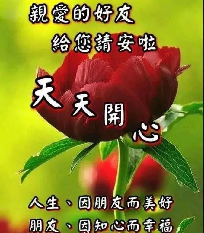 2019早上好问候语图片带字朋友早上好祝福暖心短信
