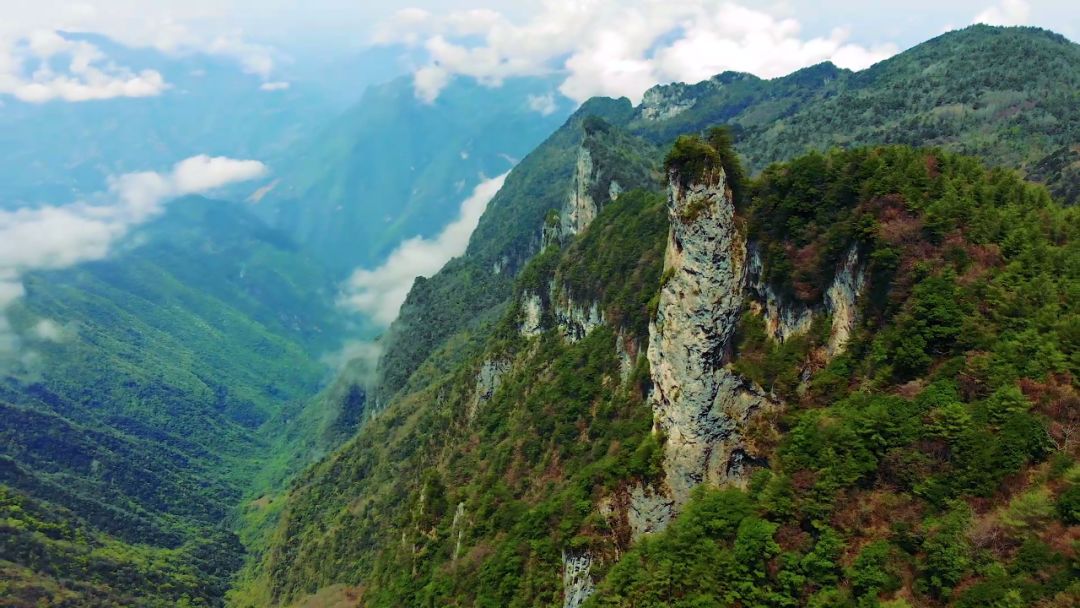 高山峡谷,茫茫草原,牛羊成群│隐匿在重庆的最后一块处女地!