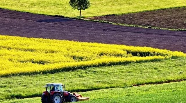 加拿大萨省2018年经济总量_加拿大国旗