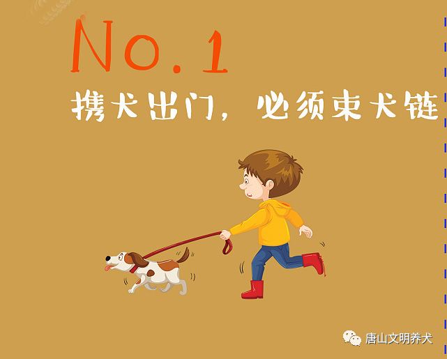 丰南不文明养犬投诉举报电话公布