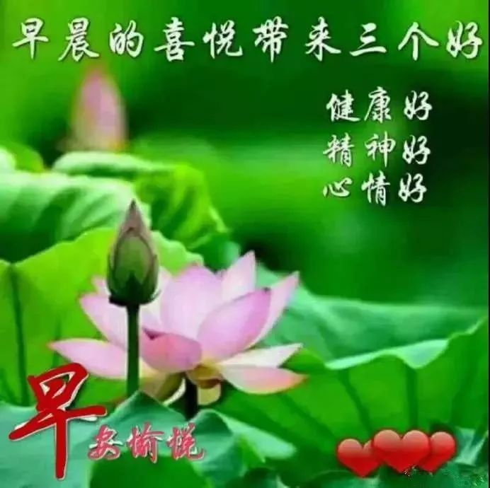 清晨问候大家早上好问候祝福语句子 清晨问候早上好图片带字动态表情