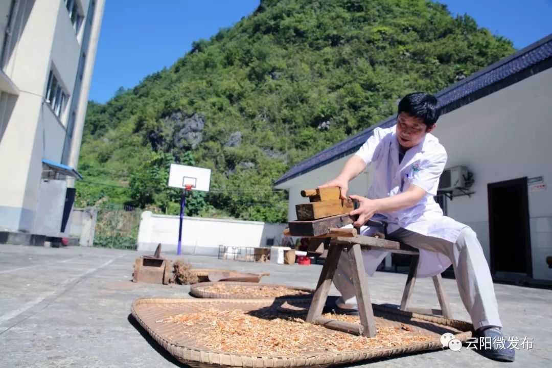 中药想要用得好炮制也有大学问看看云阳中医的炮制经验