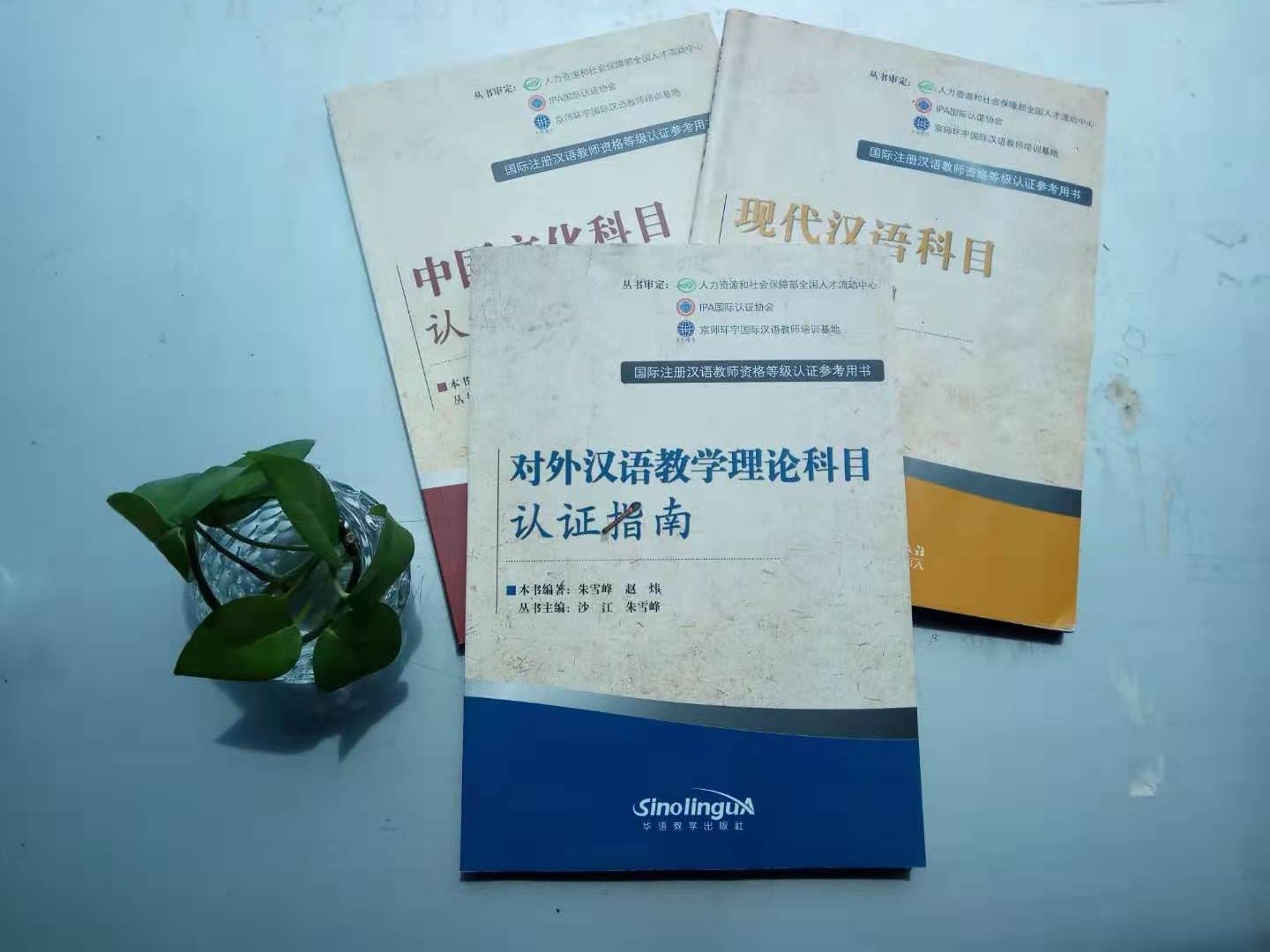 对外汉语教学有哪些课堂之外的学习资源?