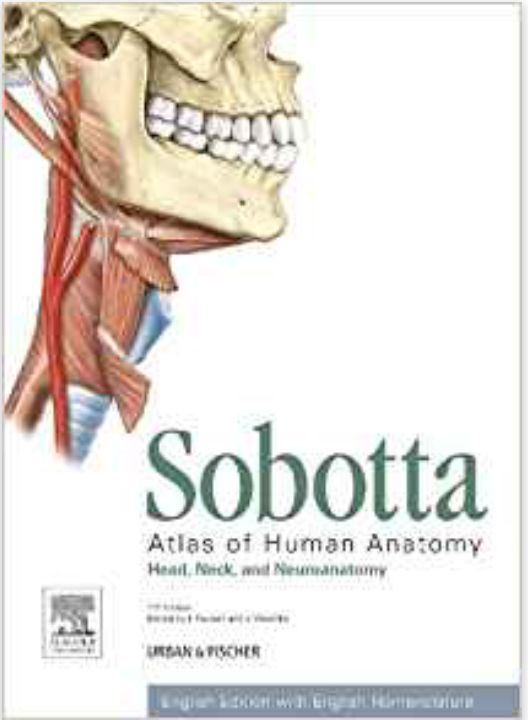 协和好书推荐丨Sobotta人体解剖图谱头颈部和神经解剖（第15版）_手机搜狐网