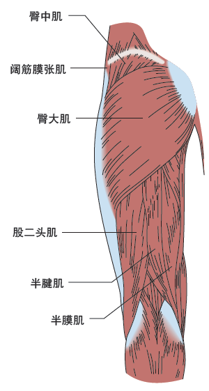 89b84c1b17b64e2e81a246ca466ef4f6.png