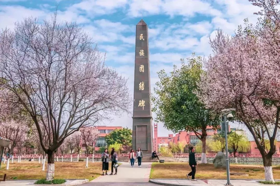 西南民族大学航空港校区