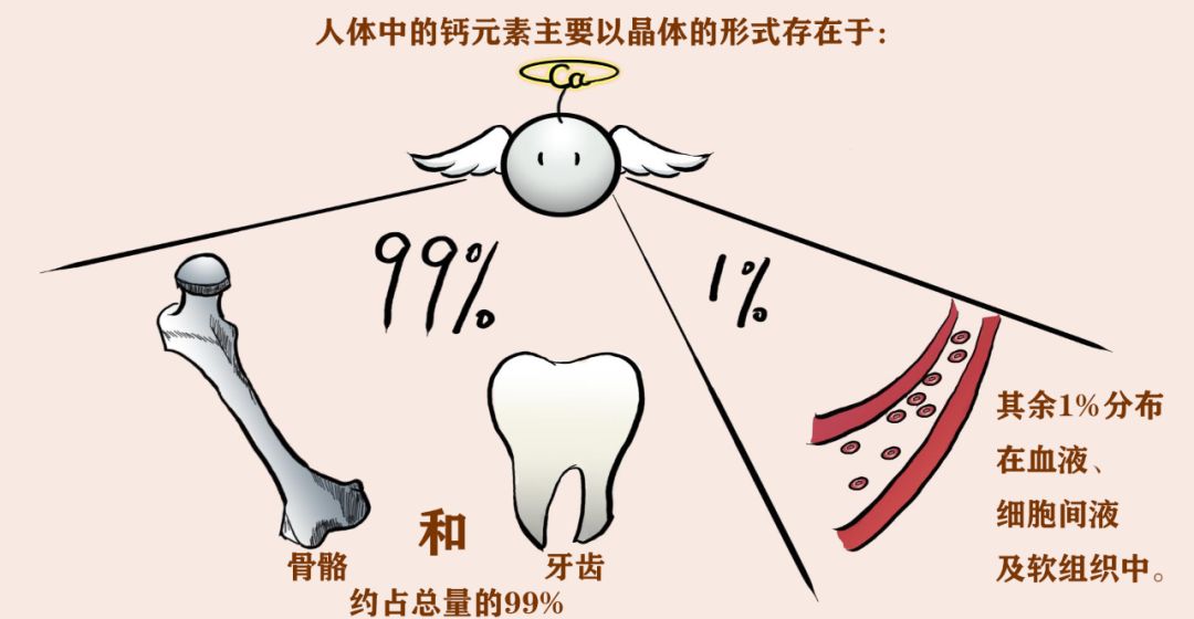 是时候和错误的钙念说再见了