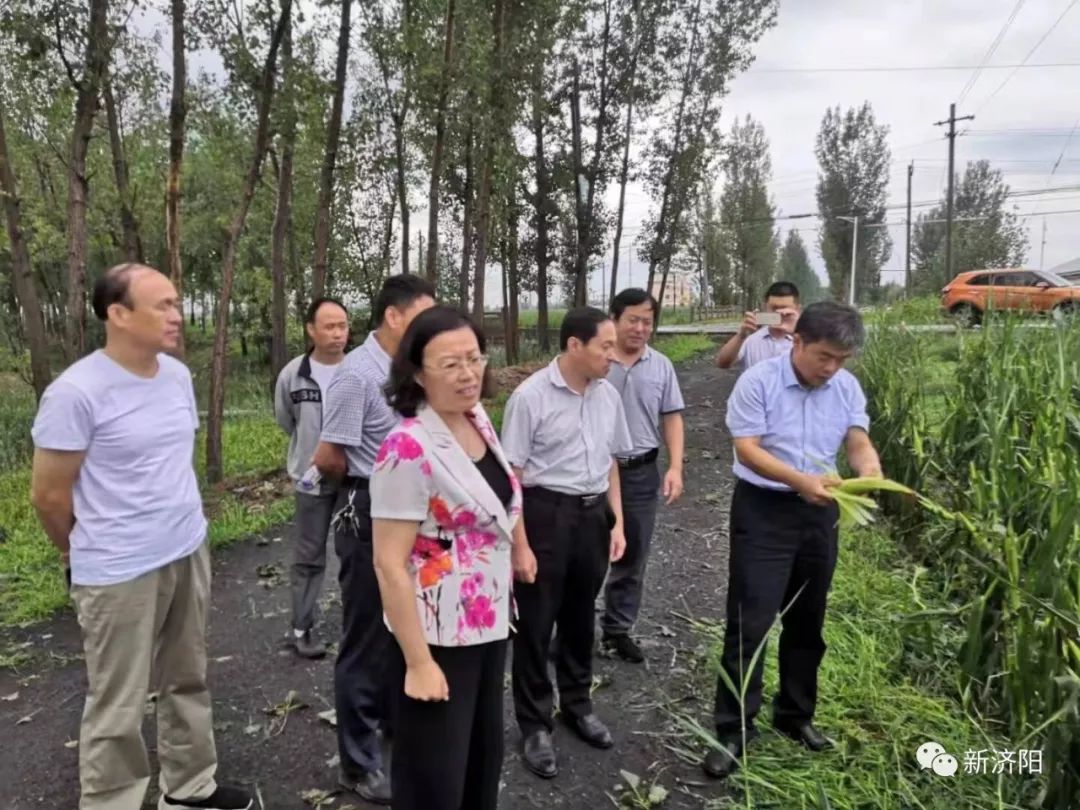 【聚焦】济阳曲堤,垛石突遭雹灾,雹子大如核桃!许多果树受灾严重!