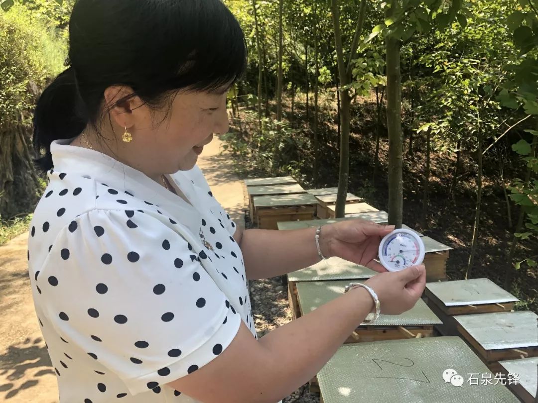 人物│石泉这个村有个女村长