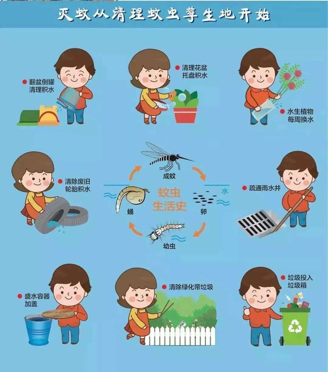 蚊子咬了怎么处理和预防 a8ee16f130fe46c0918c4929c33c4333.jpeg