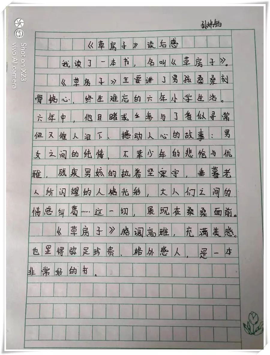 【丰翼小学】乘惬意之风 立多彩之梦 ——记我校四年级暑假德育作业之