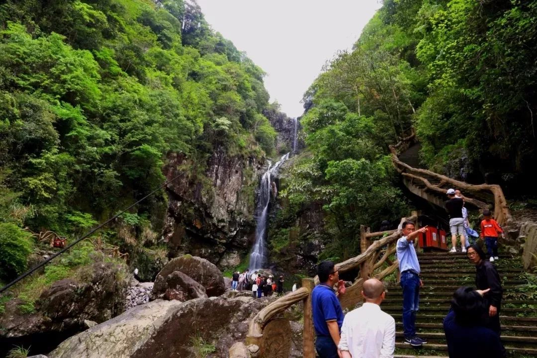 会员活动网红打卡点泰顺南浦溪一日游