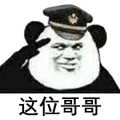 装逼过度,我要逮捕你!_表情