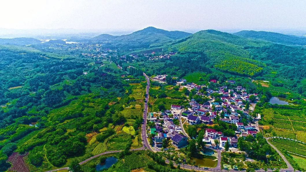 江苏南京·黄龙岘茶文化村