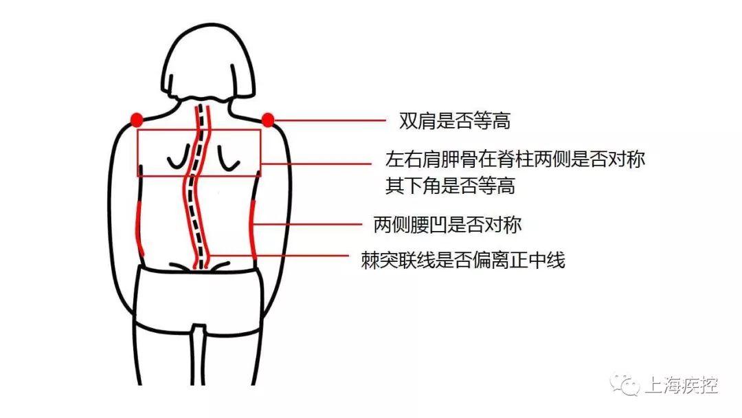 双侧搭肩试验怎么做_教师节贺卡怎么做