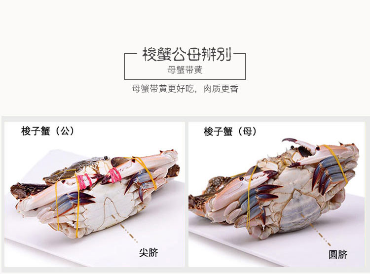 如何挑选梭子蟹,让老饕赞不绝口的梭子蟹如何烹饪