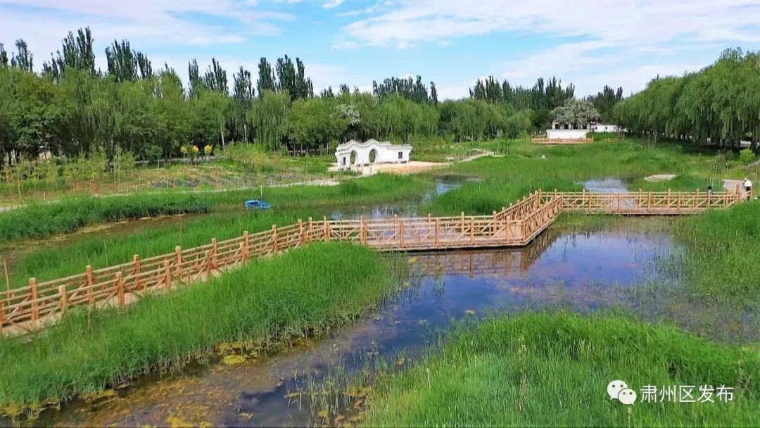 肃州湿地好风光四坝海子醉游人