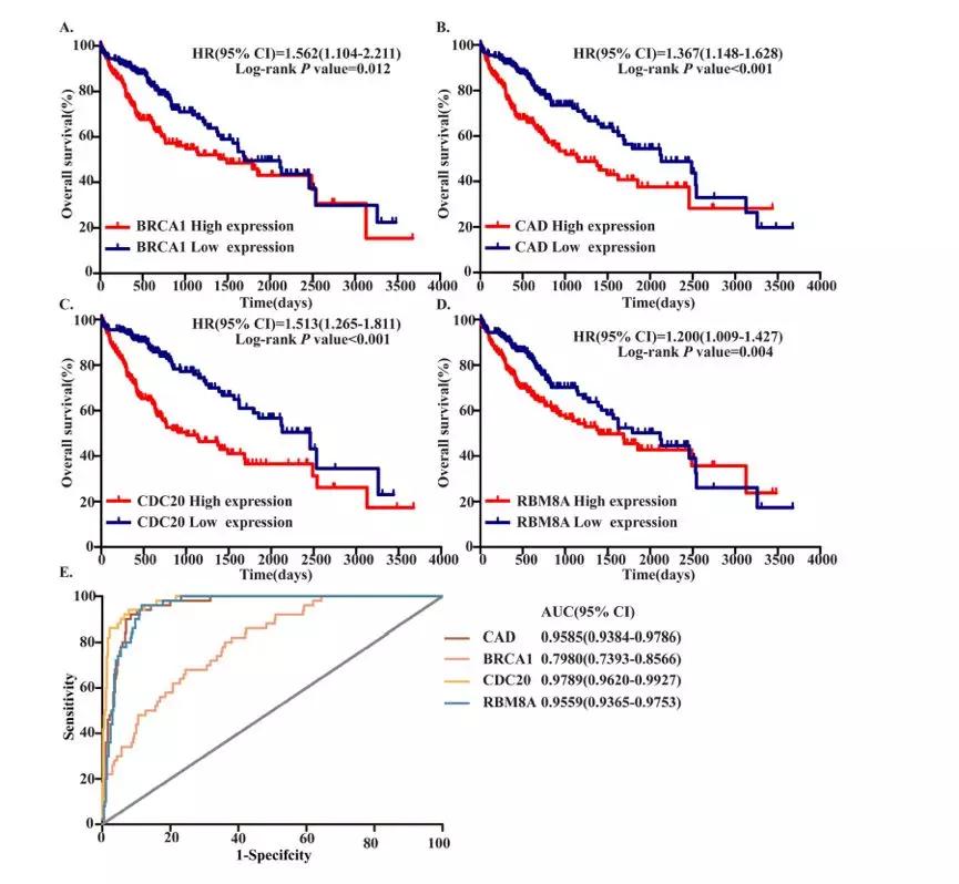 基于四个甲基化mRNA标记物的风险评分