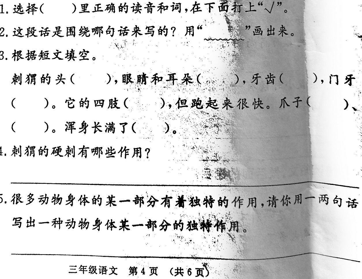 d60a799e32f0484989443ca073ac93b9.jpeg