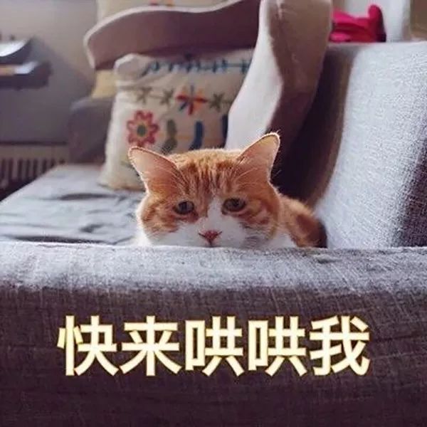 db46ef06d8b64585acfb1bfe231bd307.jpeg