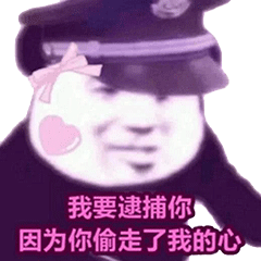 装逼过度,我要逮捕你!_表情