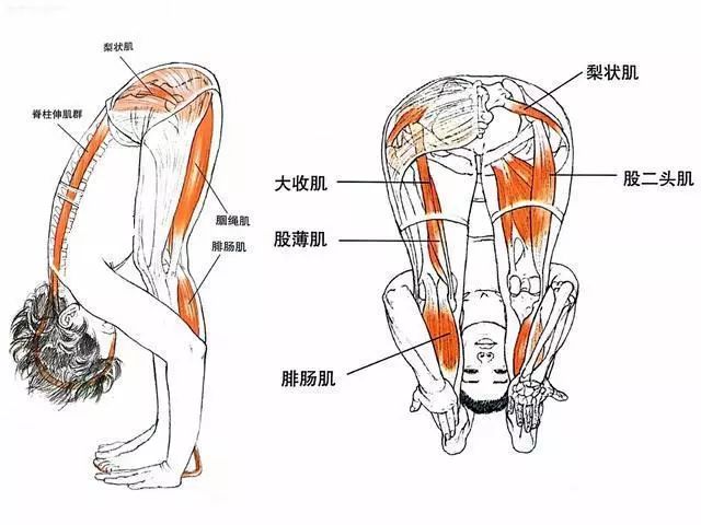 大家呦有人用微信号?我有太多了.都特别好,然后用看下,都是可