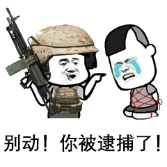 装逼过度,我要逮捕你!_表情