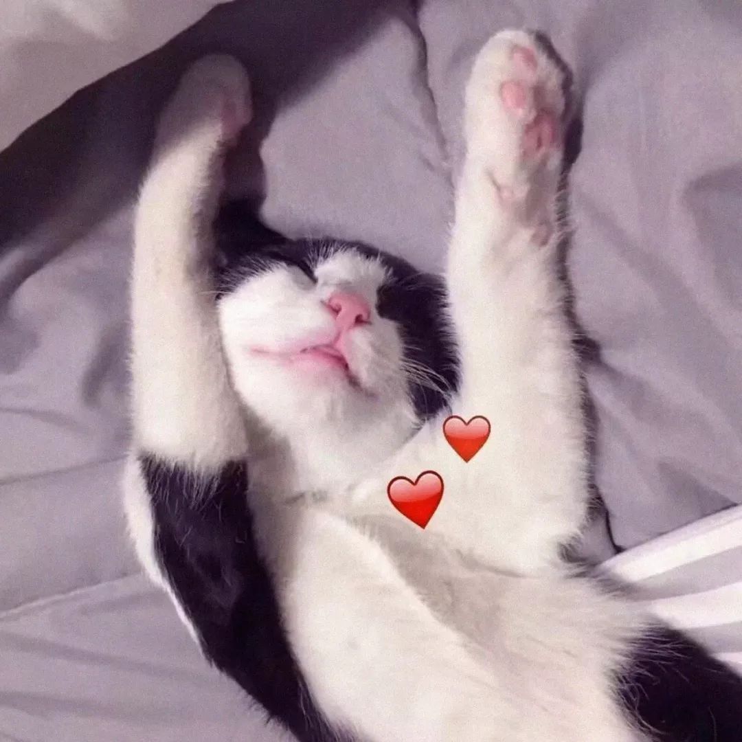 两只胳膊两个风猜一成语_木猜一成语疯狂看图(3)