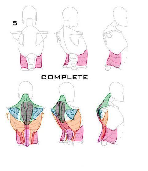 【推荐】人物背部肌肉怎么画?一看就会的人物背部肌肉结构素材