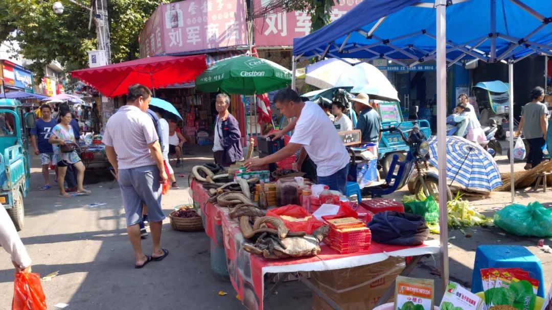 揭秘街头江湖骗子切记勿贪小利