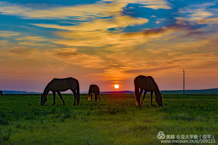 每天早上欣赏草原东方冉冉升起的一轮红日,晚上与西下的夕阳告别.