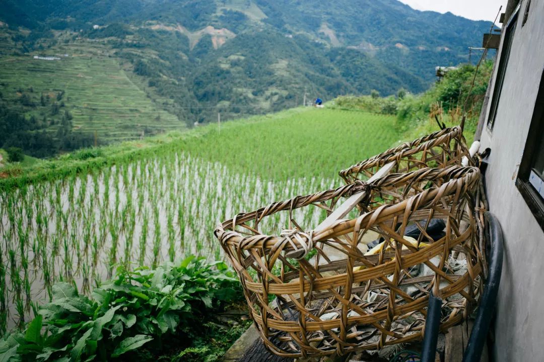 三星分享村落丨向往，這一處詩意的遠方 旅遊 第15張