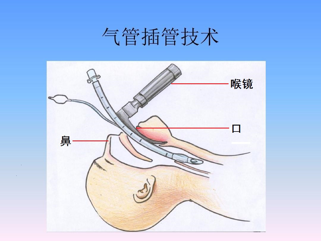 人口手牙的声调_拼音声调图片(3)