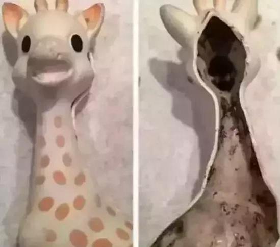 八个月宝宝可以吃火棉胶吗 214d28a09b3642f3b4817309679e84a9.jpeg