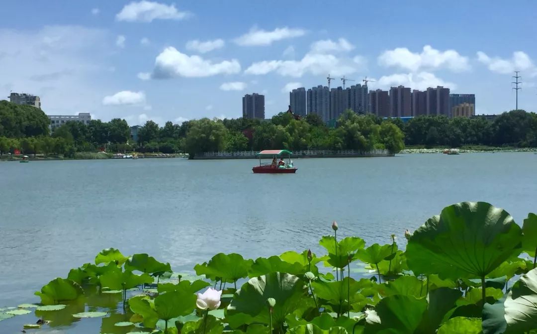 第123波镜看淮南最美风景随手拍摄影作品展示