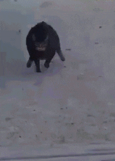 你第一眼把它看成了什么?据说猜对的很少