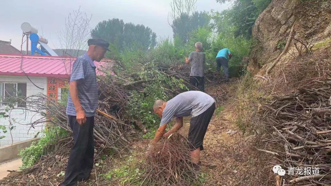 肖营子镇各村人口(2)