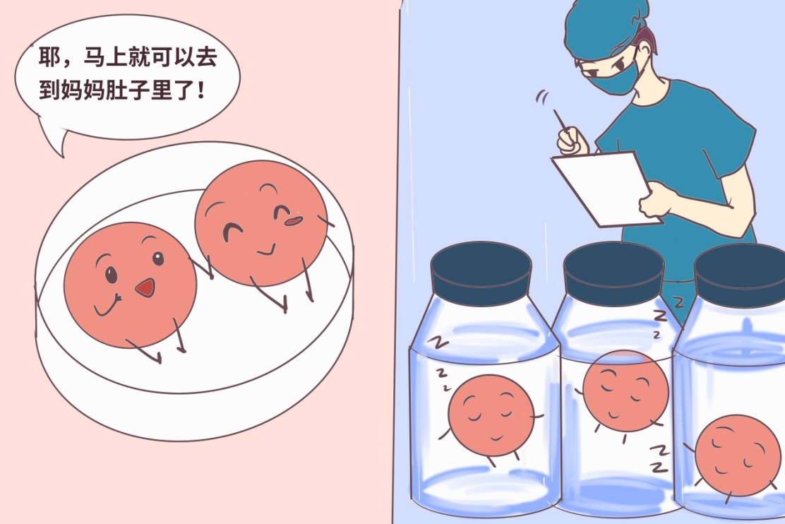 原创李媛教授祝你好孕系列漫画胚胎移植专题篇
