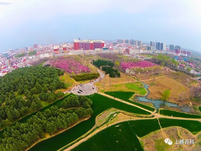 蔡明园公园春景