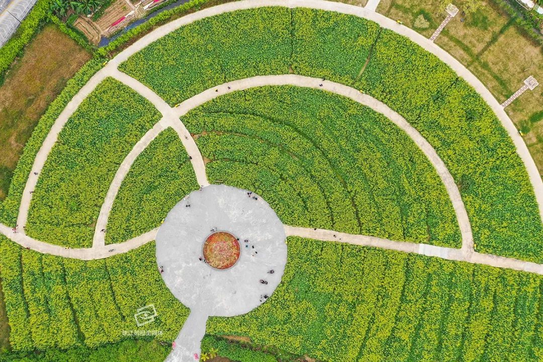 桂城gdp_桂城GDP突破600亿大关 税收南海第一 2020年要这样干