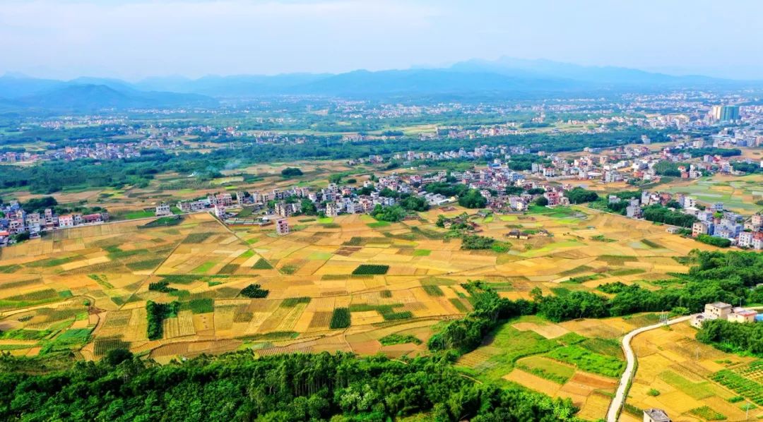 这里是淮山之乡是太平天国起义的地方桂平金田镇