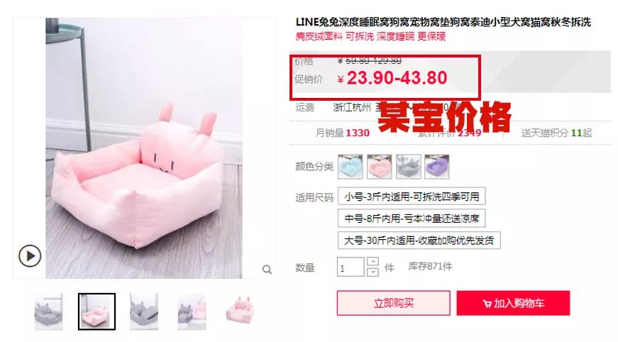 選對寵物用品，給你的「毛孩子