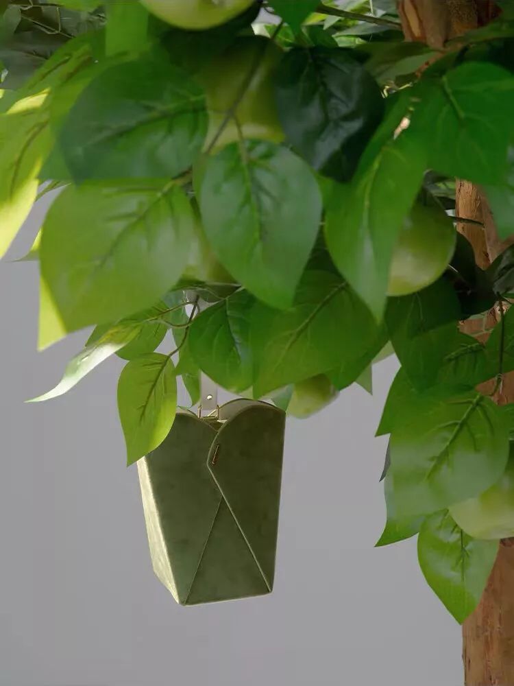 �������Ƶ������,���翴����������!